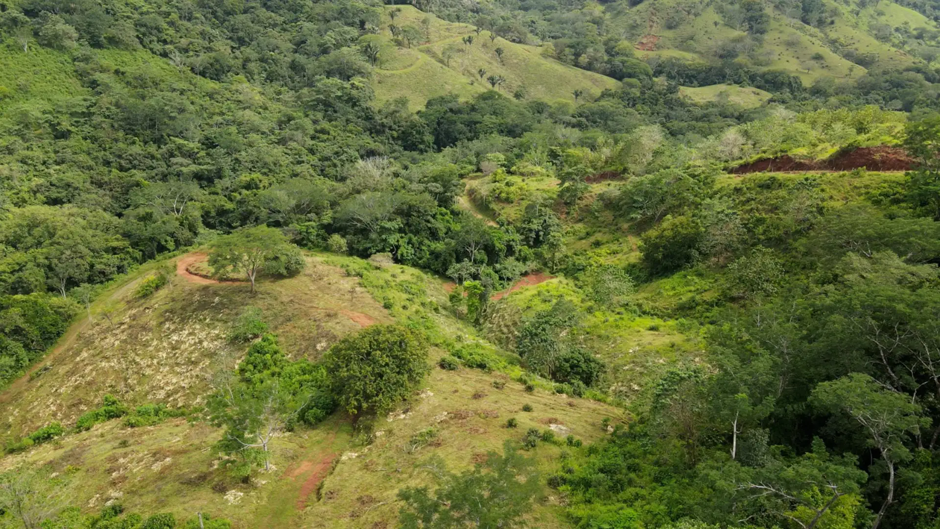Aerial view of green hills and tropical forest in Guanacaste, Costa Rica