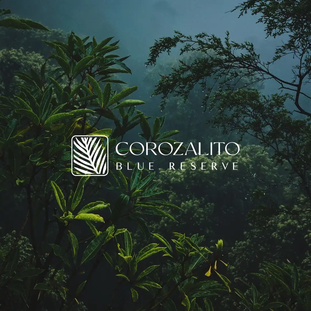 corozalito logo inicio